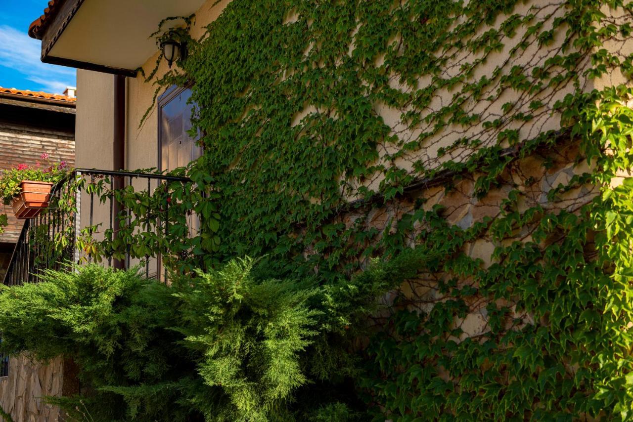 Menada Sunny Hill Villa Kosharitsa エクステリア 写真